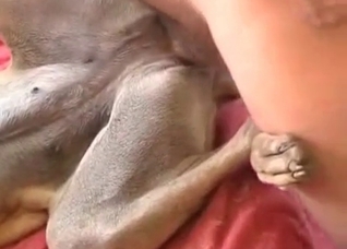 Gorgeous anal sex with my dog