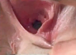 Horse raped my small pink cunt