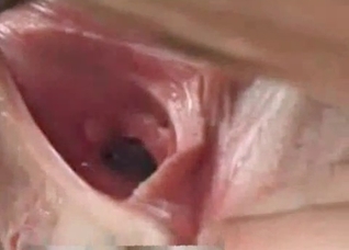 Horse raped my small pink cunt