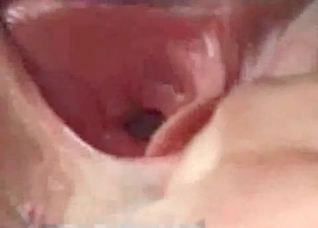Horse raped my small pink cunt