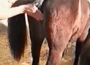 Another horse in the farm action