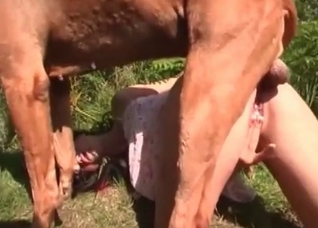 Dog stuck in my tight vagina