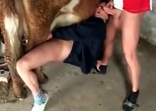 Farm animals are good for bestiality