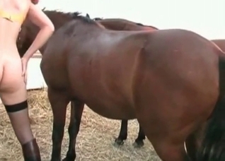 You are such a dirty jockey
