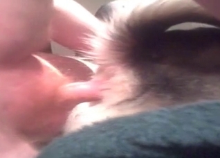 Passionate anal sex with a dog