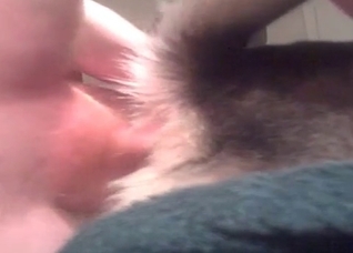 Passionate anal sex with a dog