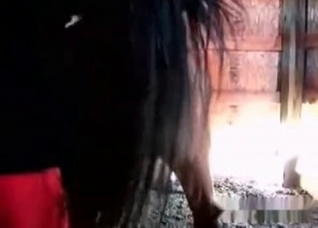 Exploring another horse anus