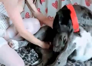 Masked slut and trained hound