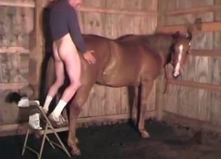Impaling this massive horse booty