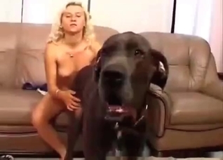 Giant dog licks my face