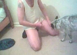 Small animal licks a soft wiener