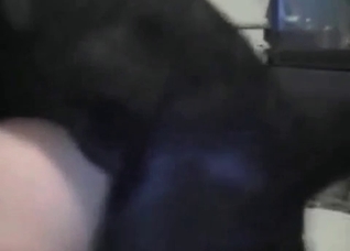 Leather makes this dog horny