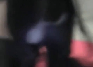 Leather makes this dog horny