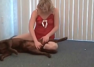 Masked bitch and sleeping dog