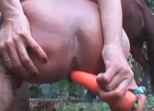 Masturbating in front a horse