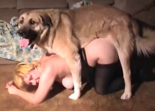 Blonde pounded by her animal