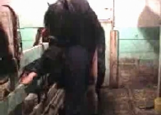 Vintage farm sex with a horse