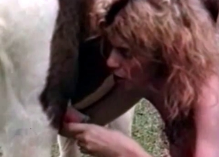 Trying to collect horse jizz