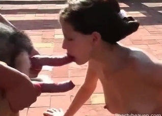 Two dog dicks for a zoophile