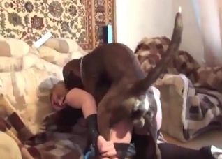 My skinny doggy is a good fucker