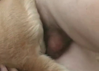 Fingering action for a doggy