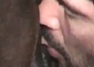 Sensual rimjob for a horse