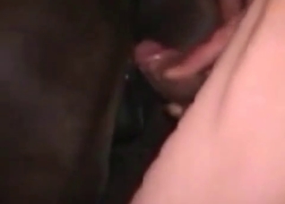 Sensual rimjob for a horse