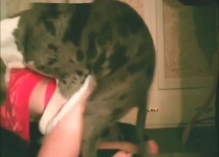 My spotted dog fucks so hot