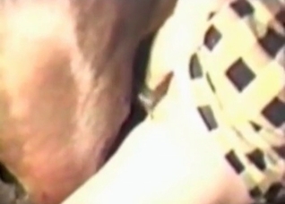 Hairy twat fucked by a horse