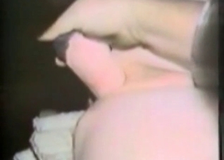 Hairy twat fucked by a horse