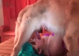 Be sure to suck this doggy