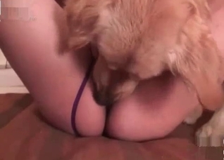Be sure to suck this doggy