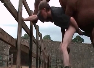 Hungry horse and dirty zoophile