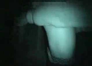 Hardcore stallion in the night