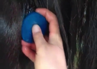 Anal stimulation for a horse