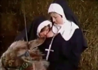 Nuns and their sensual sheep