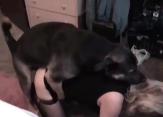 Just licking a doggy wiener