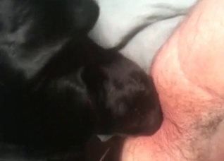 Dark dog and juicy wet snatch