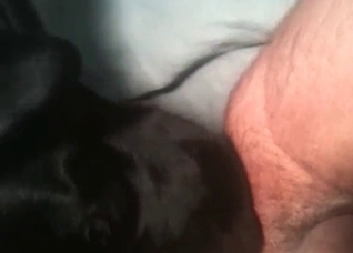 Dark dog and juicy wet snatch