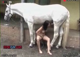 Big ass zoophile and white horse