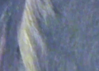 Rimjob for a dirty stallion