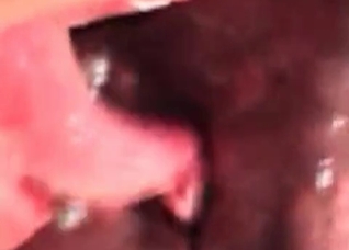 Horse prick delivers a pleasure