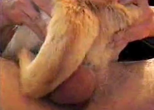 Puppy screwed hard in the ass