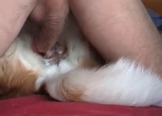 Juicy sperm on my doggy