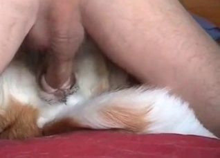 Juicy sperm on my doggy