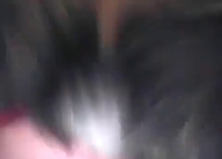 My dog is a nice fucker