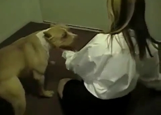 Office slut plays with her dog