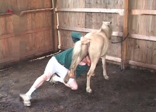 Preparing this white pony for sex