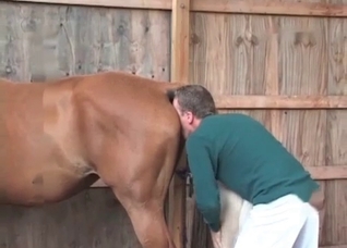 Preparing this white pony for sex