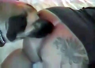 Fatty slut trains her doggy
